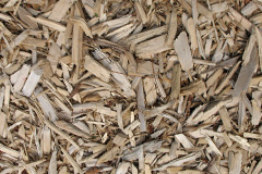 biomass boilers Dingleden